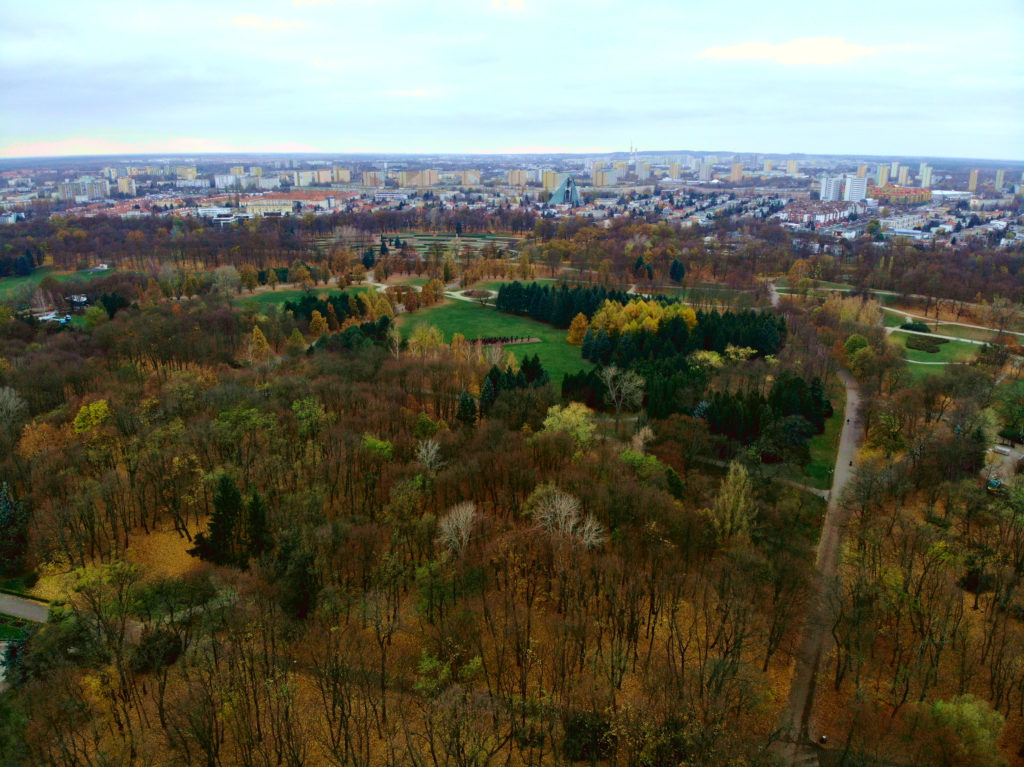 Prace, które przywracają pamięć. Tak zmieni się Cytadela