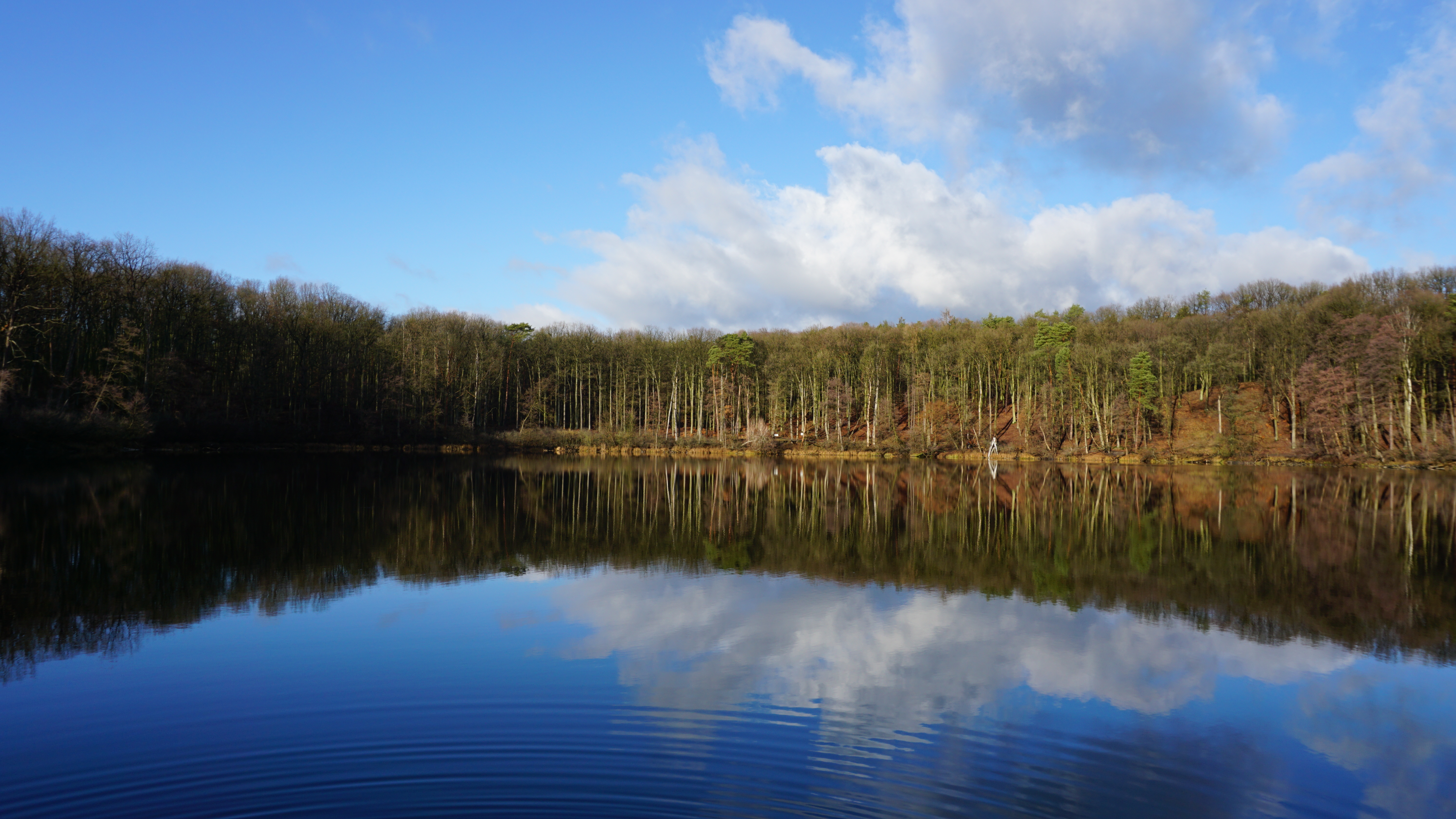 NIK alarmuje. Wielkopolski Park Narodowy latami czekał na najważniejszy plan ochrony