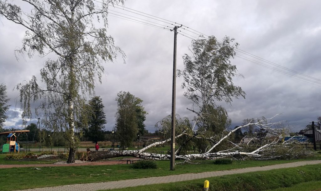 Około 350 interwencji. Silny wiatr w Wielkopolsce