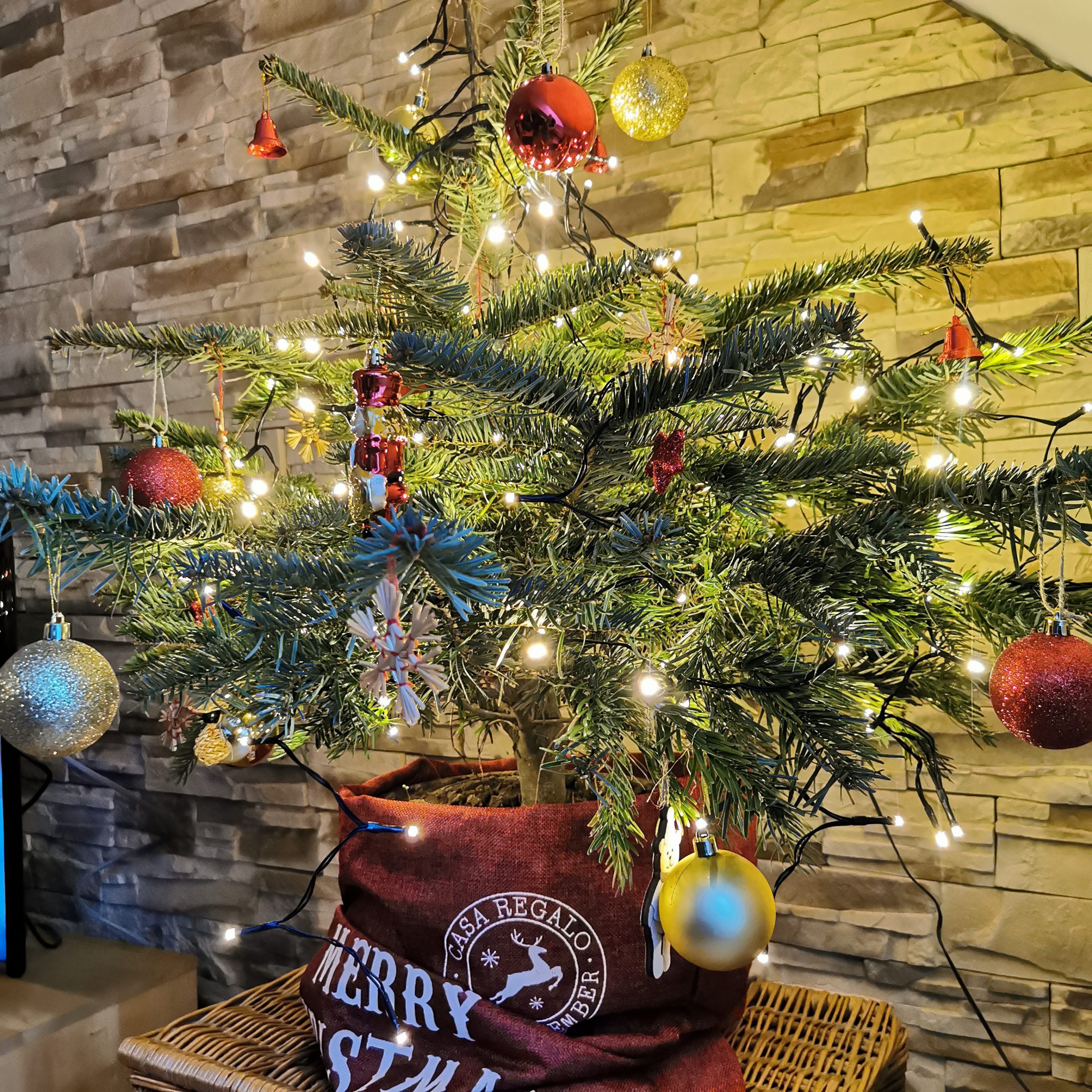 Święta, święta i po świętach… Ale co zrobić z choinką?