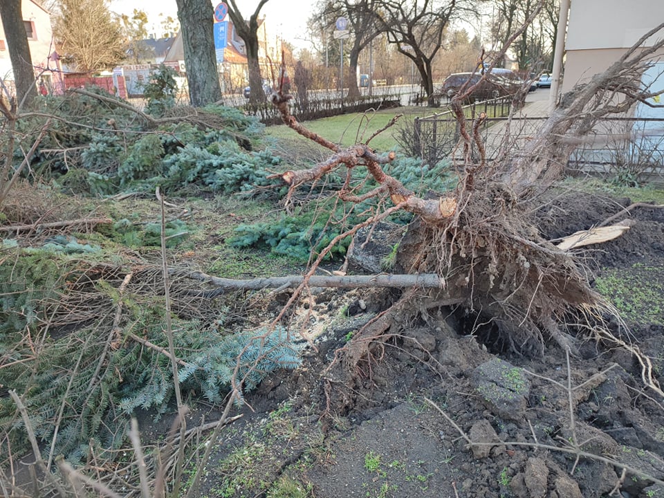 Nocne wichury. Strażacy mieli pracowitą noc. Jaka pogoda czeka nas w tym tygodniu?