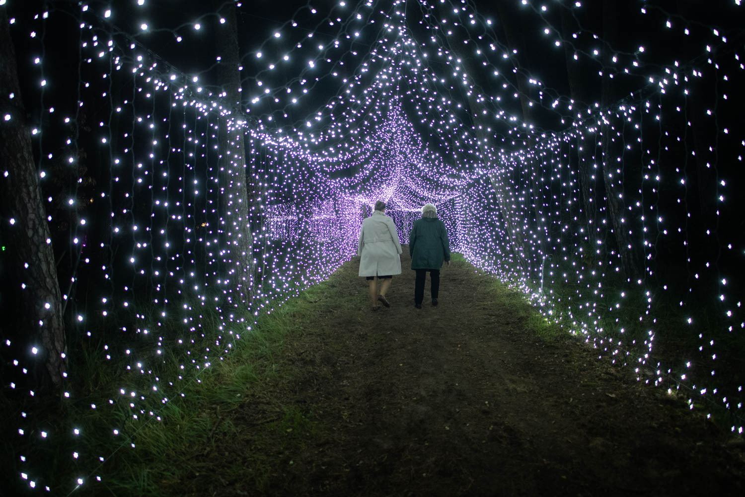 Niesamowity park świateł w Poznaniu. Zobacz zdjęcia