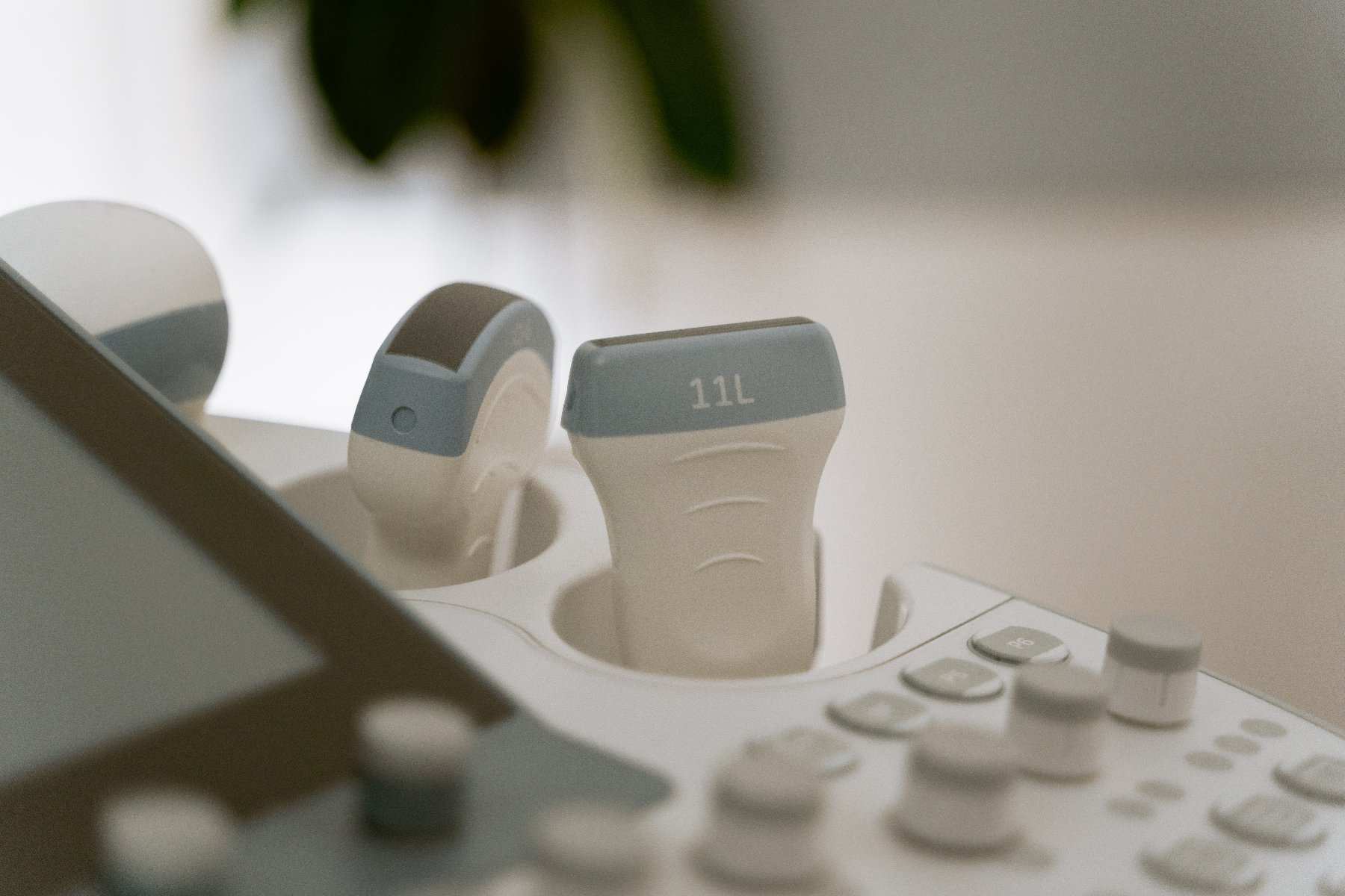 Otwierają się na jaja. Bezpłatne badania na UAM