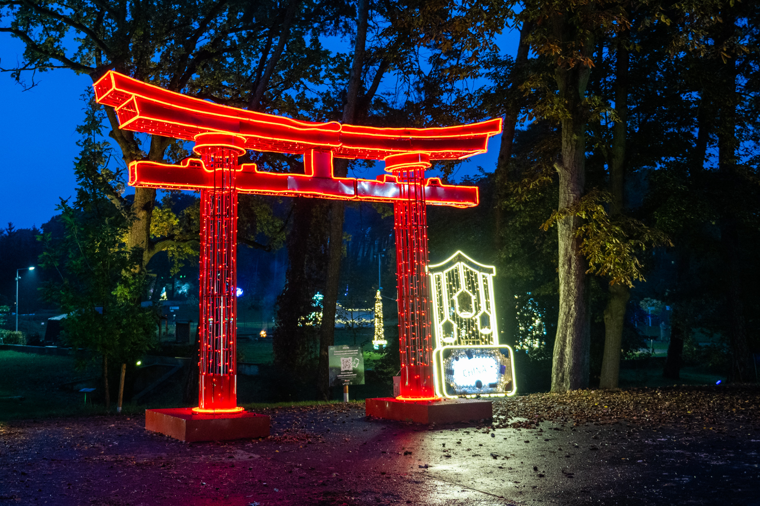 Park Iluminacji w Poznaniu i „Botaniczna podróż”. Zobacz, jaka czeka przygoda