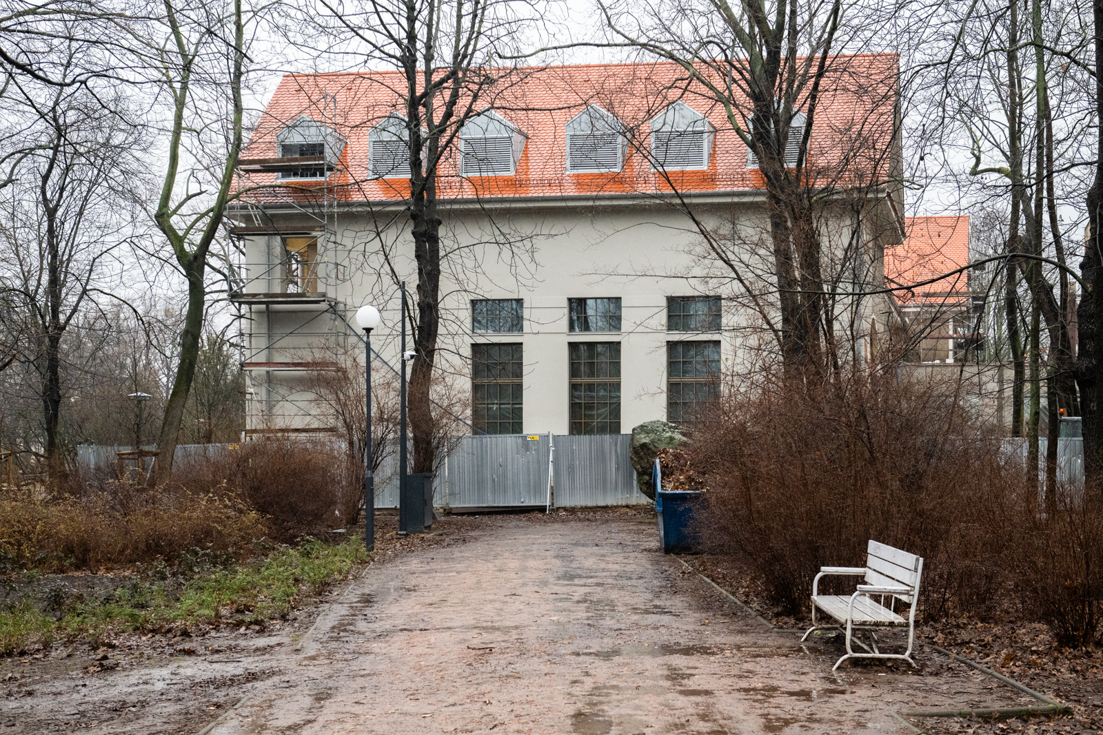 Betonhaus będzie jak nowy. Zamieszka w nim… kot