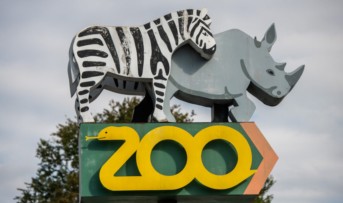 Zoo w Poznaniu (fot. Łukasz Gdak)