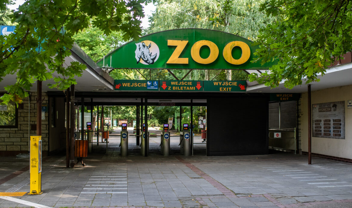 Zoo w Poznaniu (fot. Łukasz Gdak)
