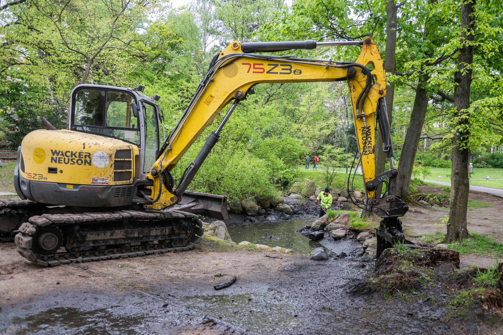 Nie ma wody w stawach w Parku Wilsona. Co się stało? [ZDJĘCIA]