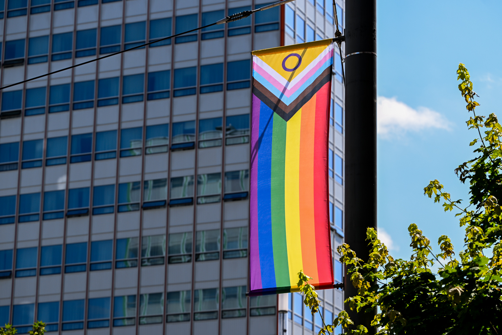 Pojawiły się flagi LGBTQ+ w centrum miasta. Przygotowania do Marszu Równości [ZDJĘCIA]