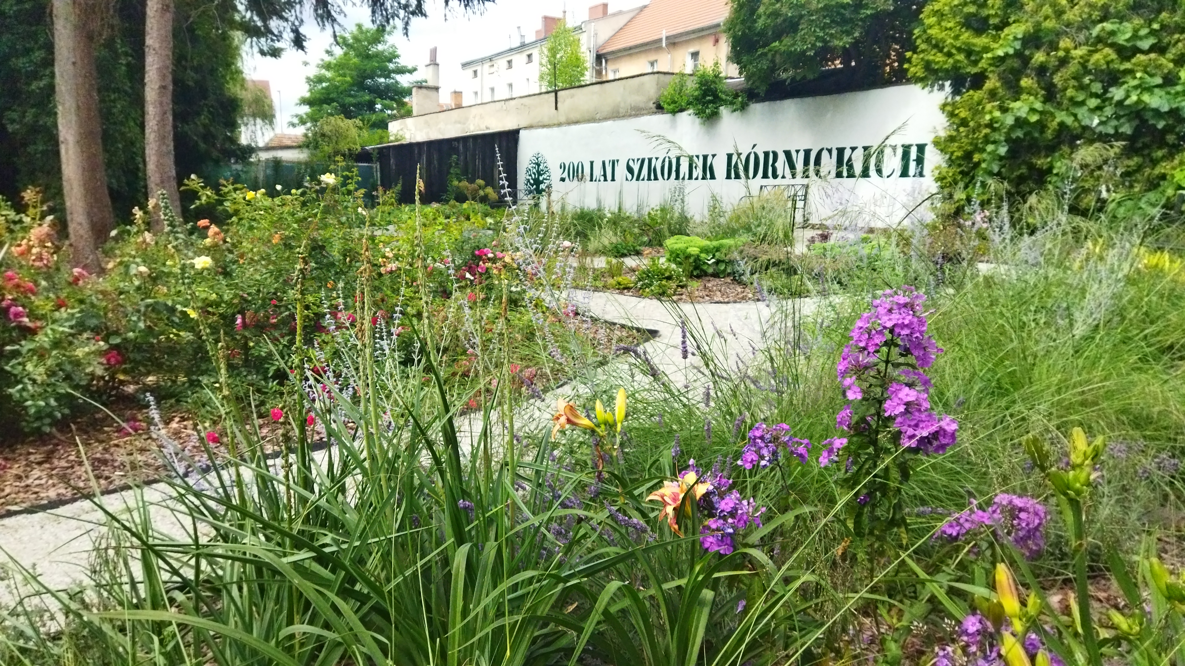 Szkółki Kórnickie