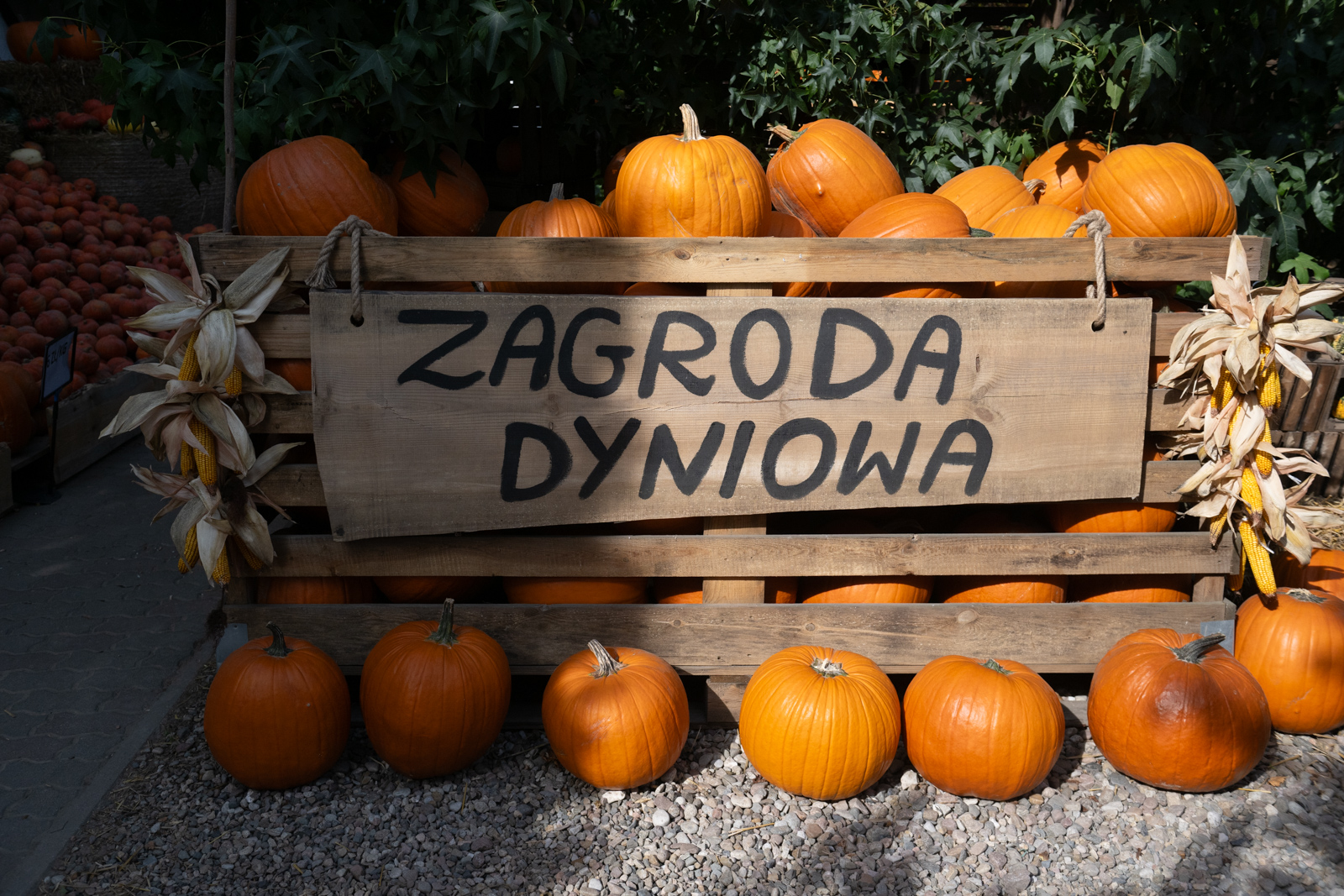 To idealne miejsce dla miłośników jesiennych fotografii