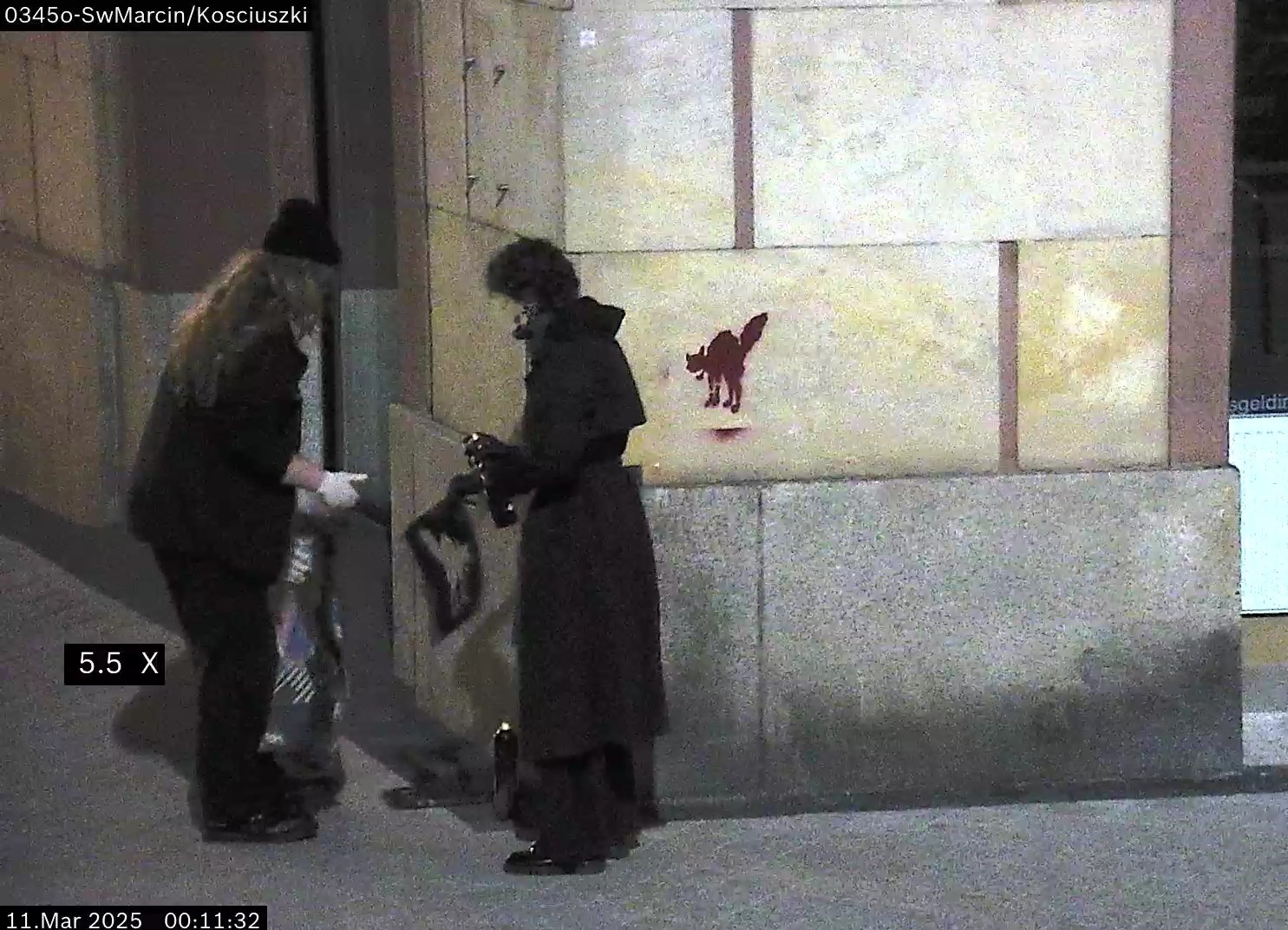 W nocy dewastowali elewacje budynków. Wypatrzyło ich czujne oko monitoringu miejskiego