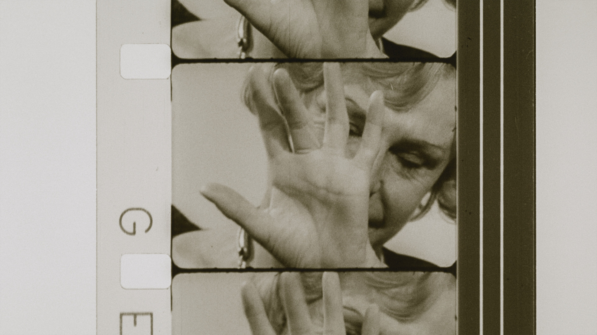 O polityce, jedzeniu i naturze. Co obejrzymy podczas 22. edycji Millennium Docs Against Gravity?