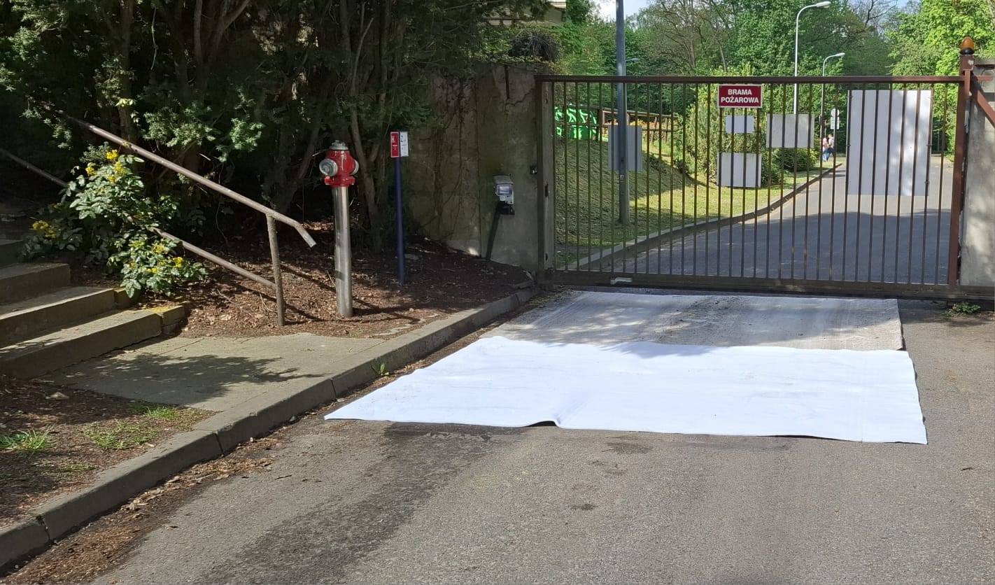 Dodatkowe środki ostrożności w poznańskim zoo. Wszystko przez groźną chorobę