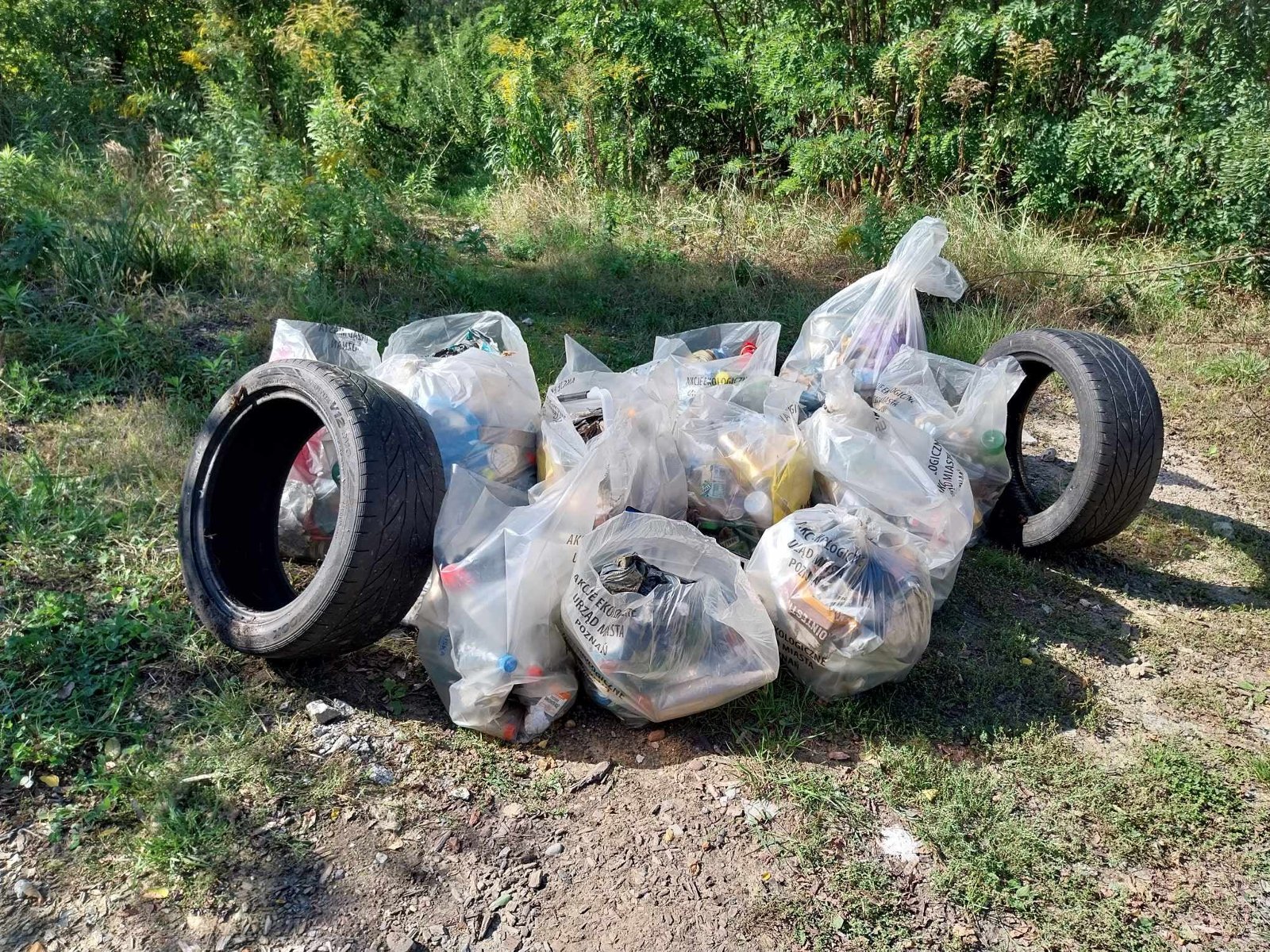 Wolontariusze ruszyli do wielkiego sprzątania