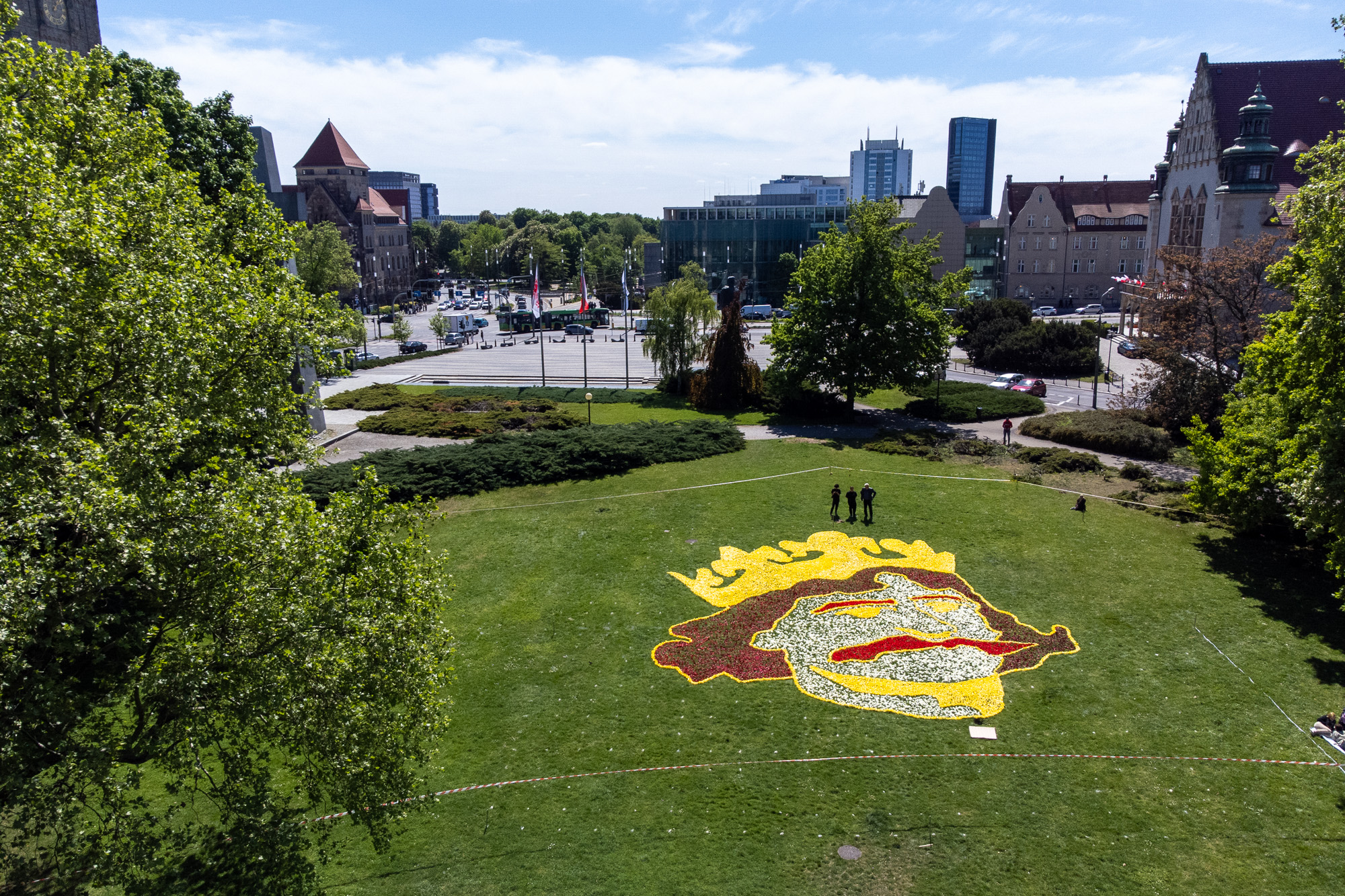 Niesamowity dywan w parku A. Mickiewicza [GALERIA]