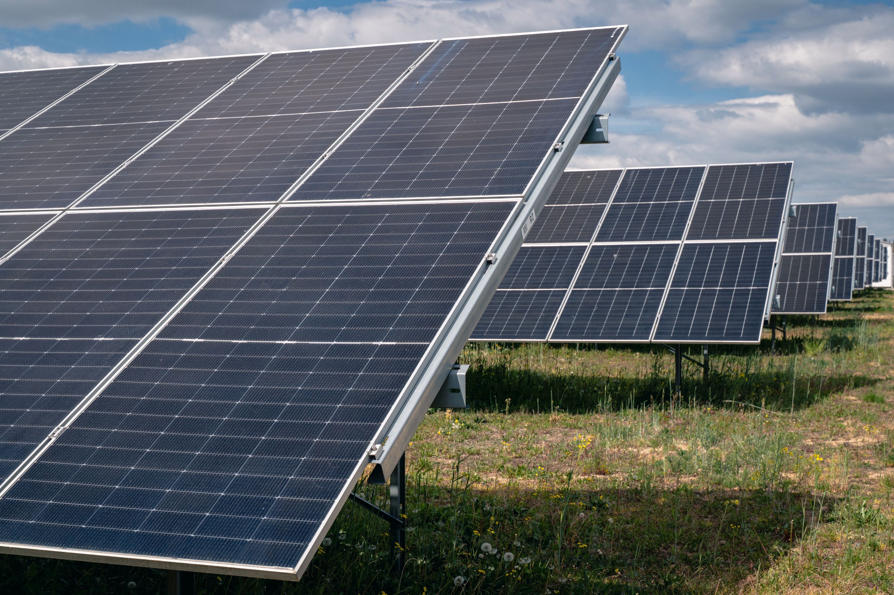 Zamiast owoców energia. Pod Poznaniem powstała ogromna elektrownia fotowoltaiczna