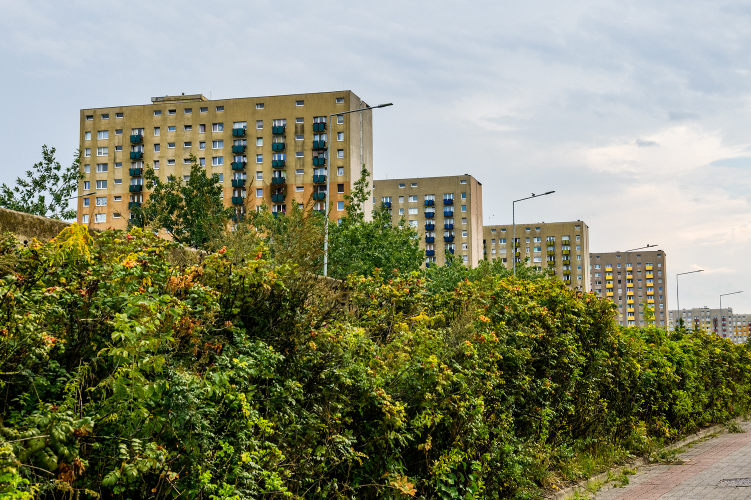 Te fyrtle wygrały imprezy. Ich mieszkańcy najliczniej głosowali w wyborach prezydenckich