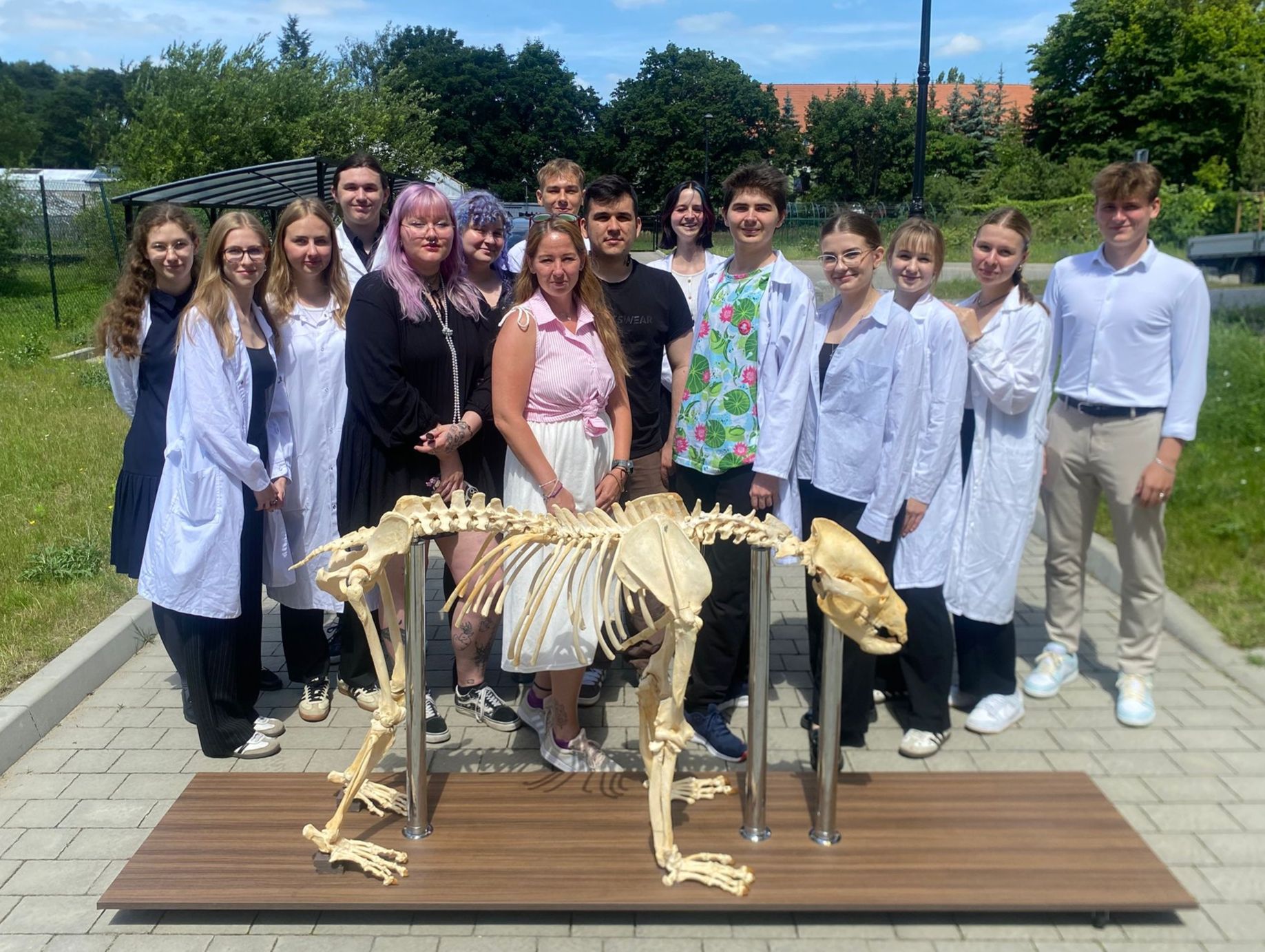 Pamiętacie niedźwiedzia Baloo z poznańskiego zoo? Znów „jest” w ogrodzie