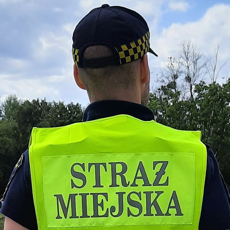 Amstaff bez szczepień pogryzł listonosza