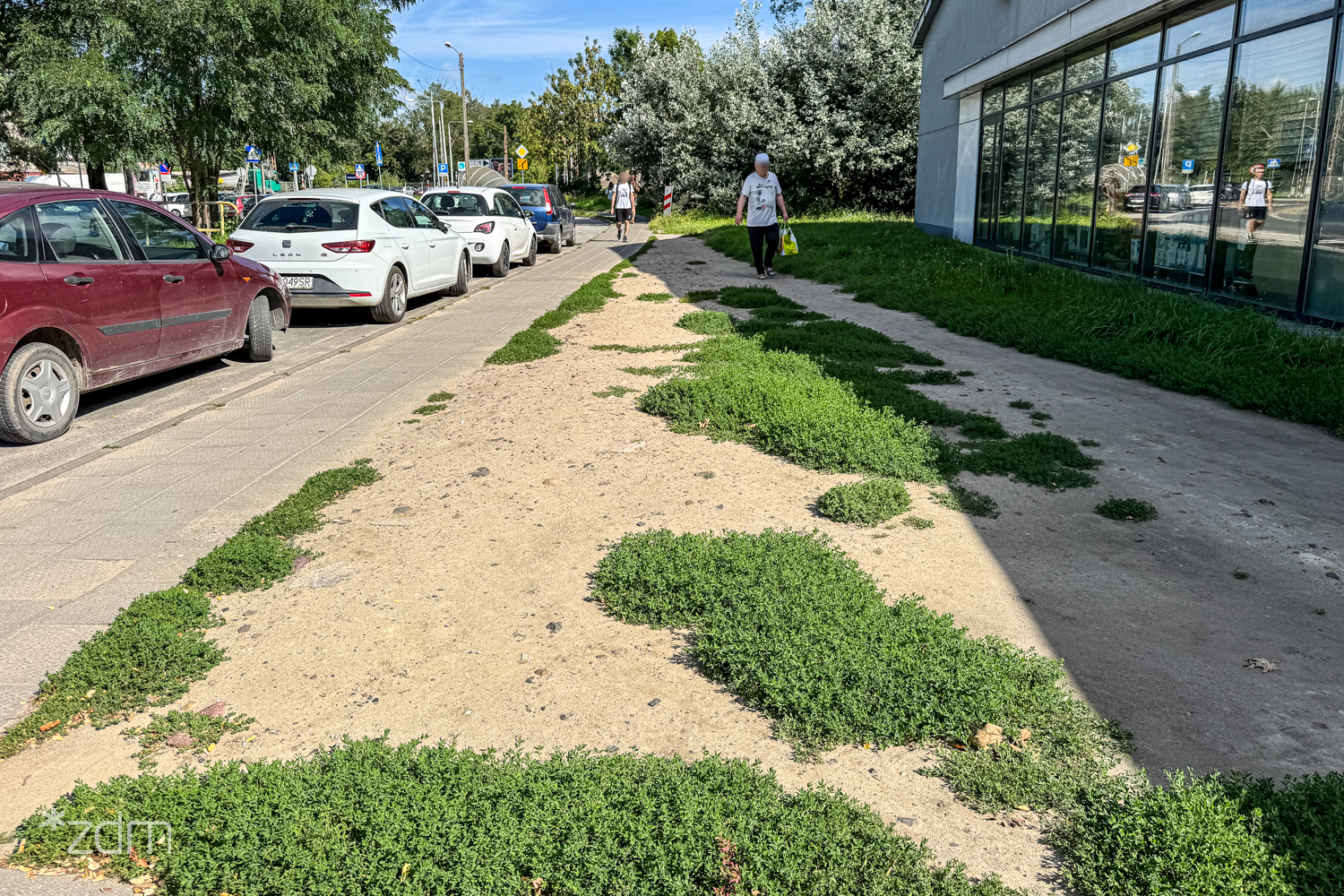 Precz z chaszczami. Wreszcie będzie pięknie