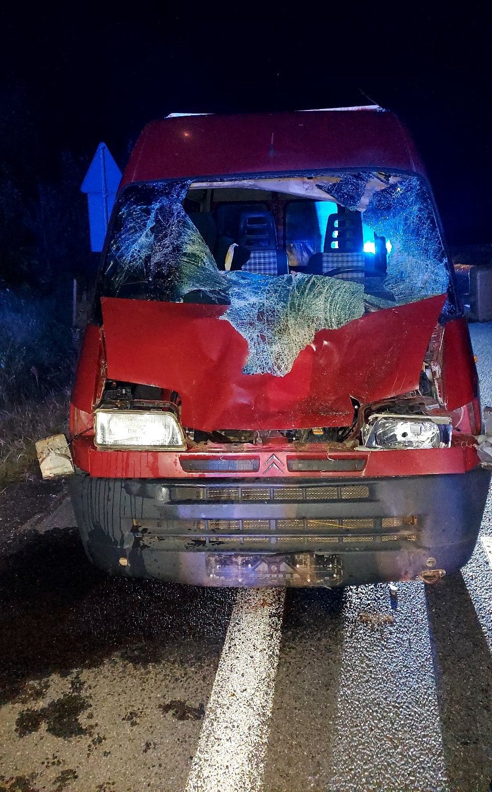 Bus zderzył się z łosiem. Auto nadaje się do kasacji