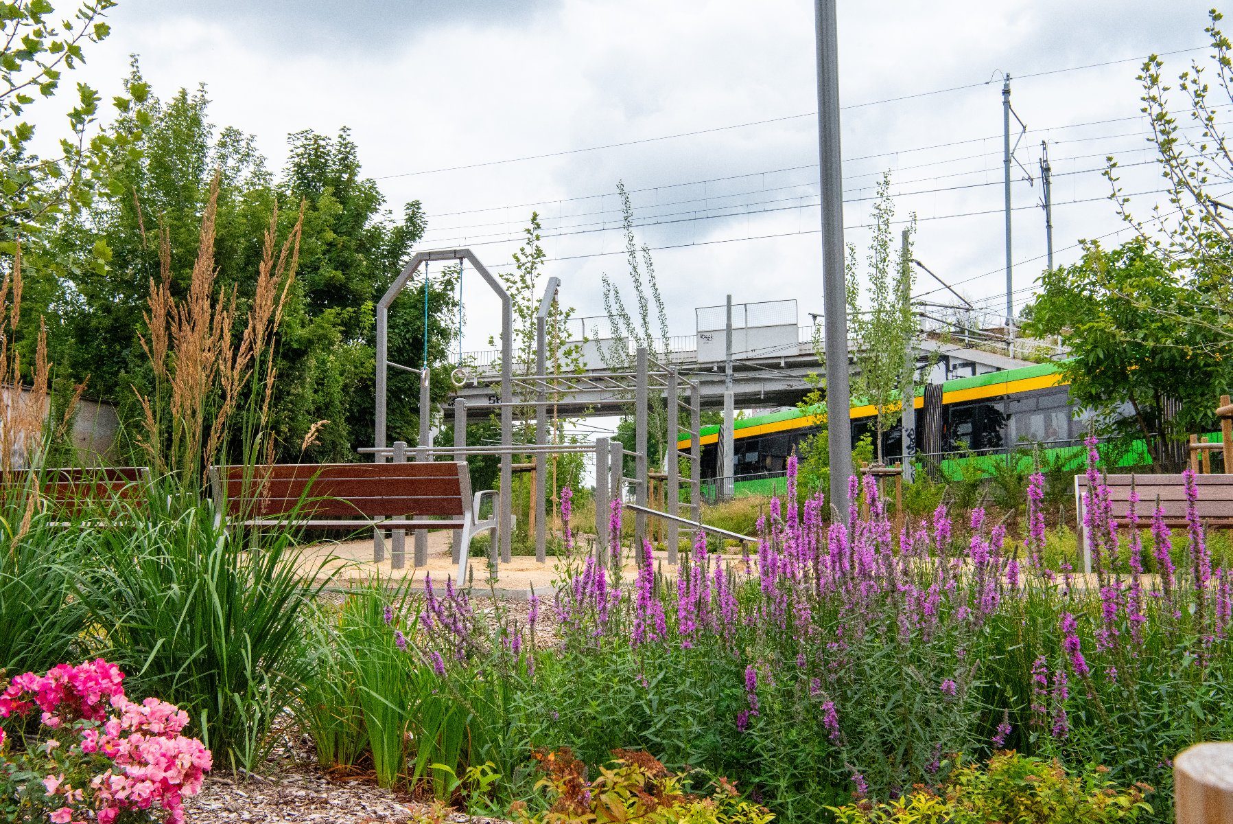 Będą nowe ścieżki spacerowe i mini lasek. Nowe inwestycje w zieleń