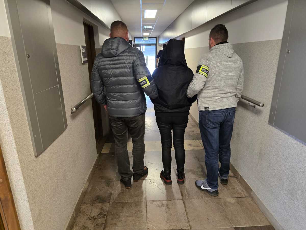 Dyrektorka poznańskiej szkoły zatrzymana za wyłudzenia. Policja działa w całym kraju