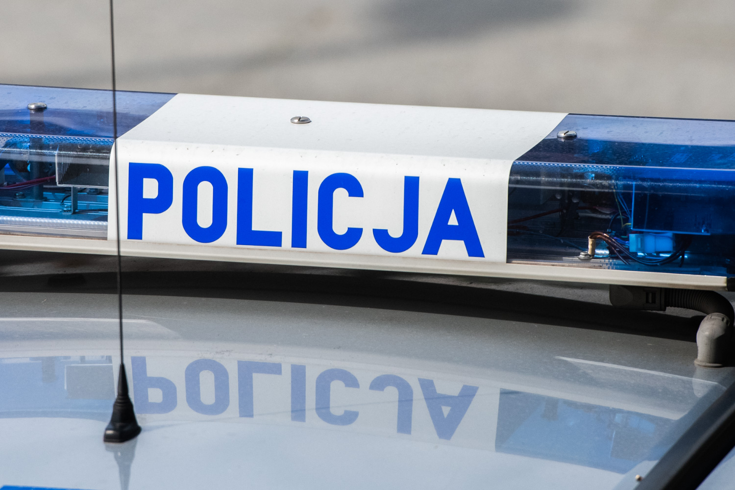 Trzymał w domu narkotyki za 260 tys. zł. Wytropił je pies