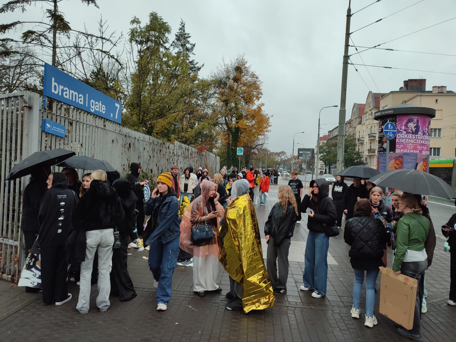 Stali w kolejce od 4.30. Fani braci Kacperczyk czekali na ten koncert cały dzień