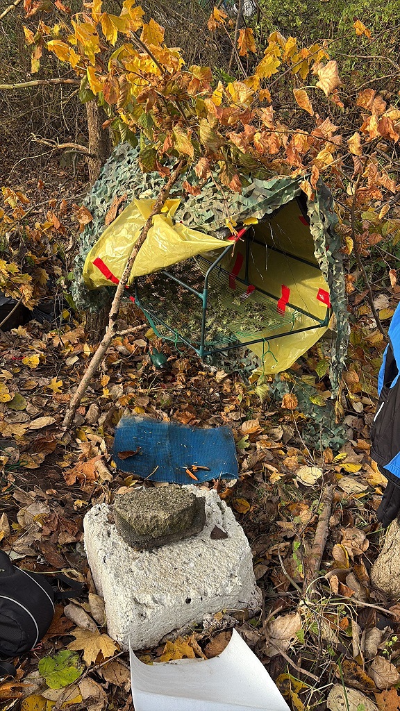 Wpadł podczas suszenia. Teraz grozi mu dziesięć lat więzienia