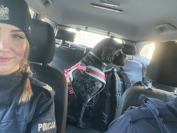 Tosia błąkała się po ulicy. Dzięki policjantom historia ma swój happy end