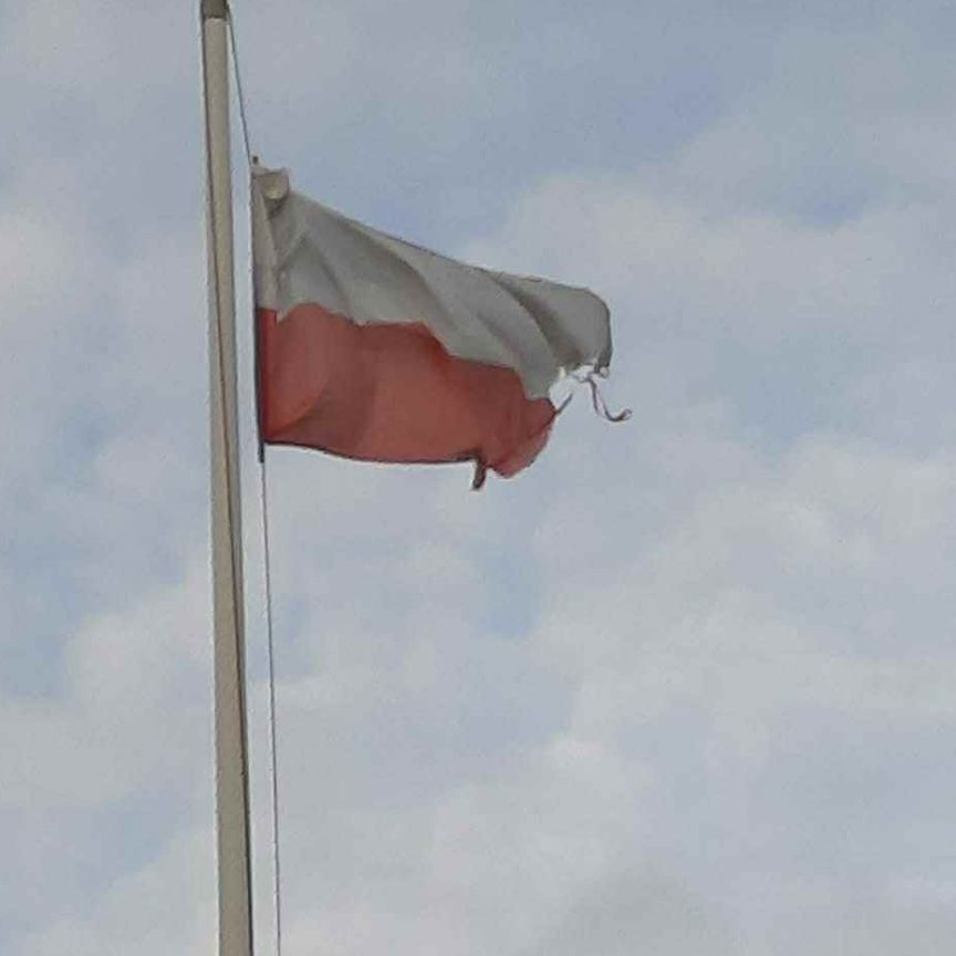 Mógł dać mandat. Dał nową flagę