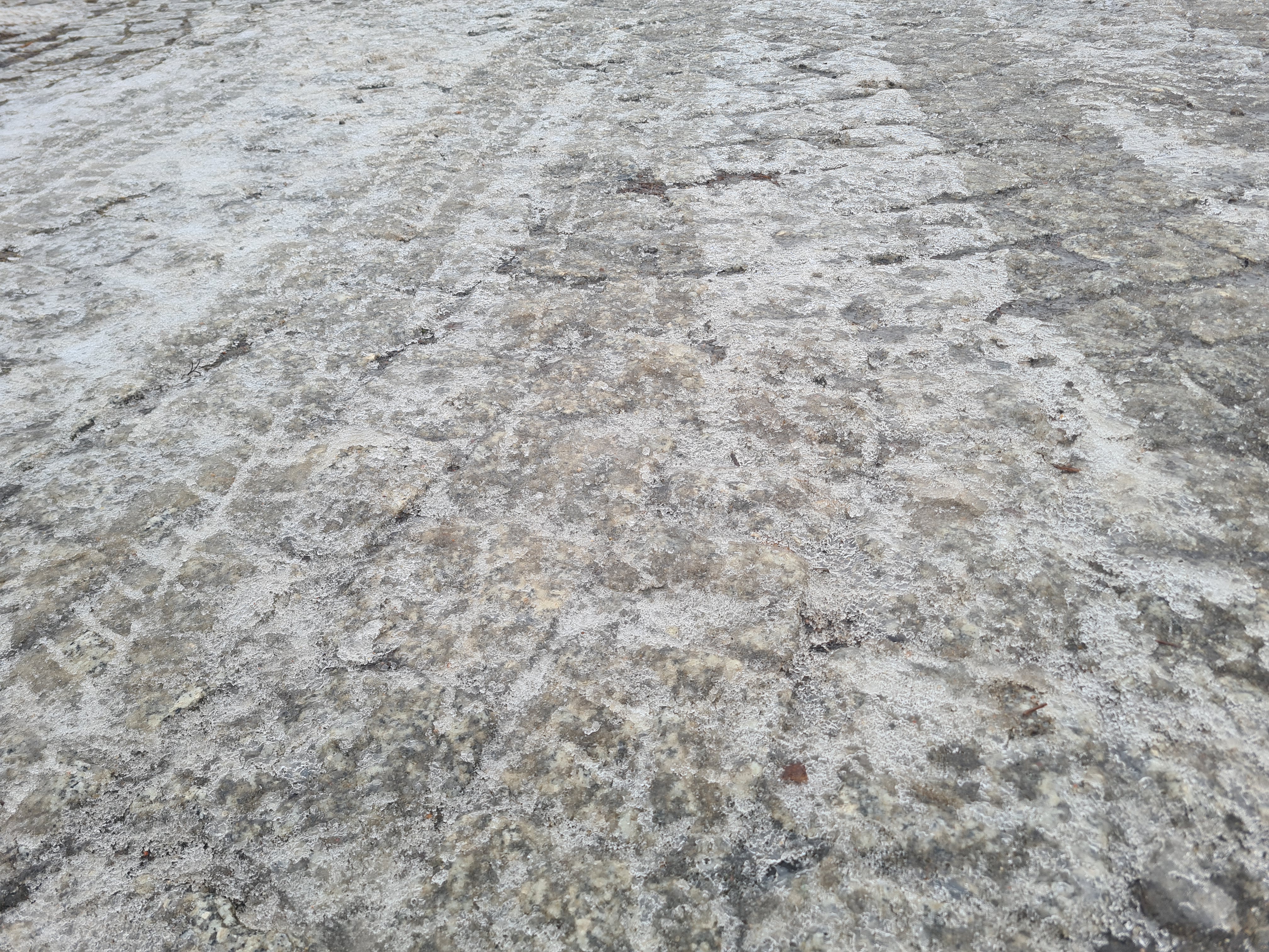 Kierowcy, uwaga na drogach! Może być niebezpiecznie