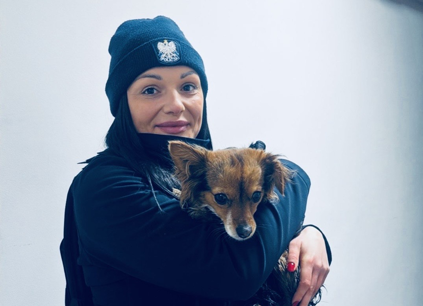 Psia uciekinierka trafiła na komisariat. Historia ma happy end