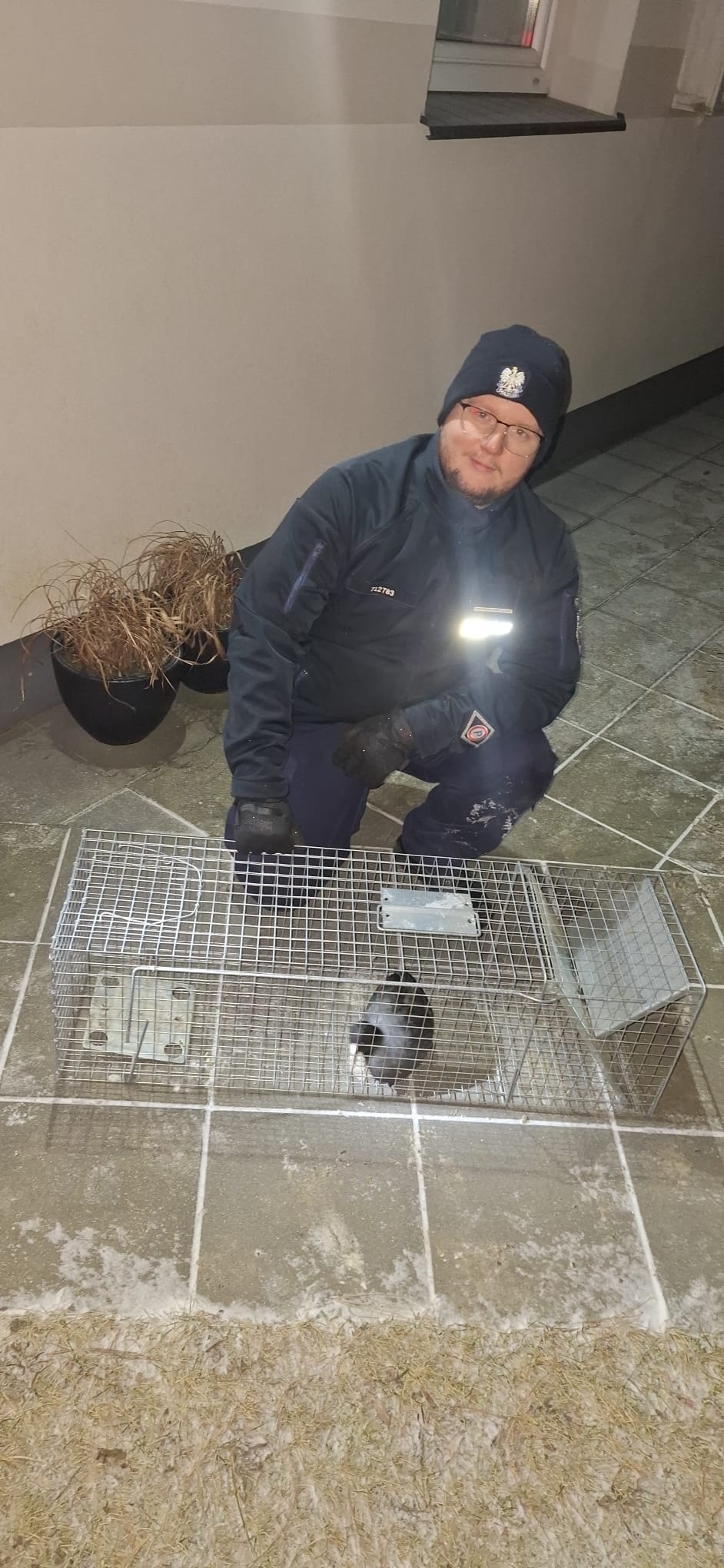 Nie tylko ludzie odczuwają skutki mrozów. Policjanci pomogli osłabionemu ptakowi