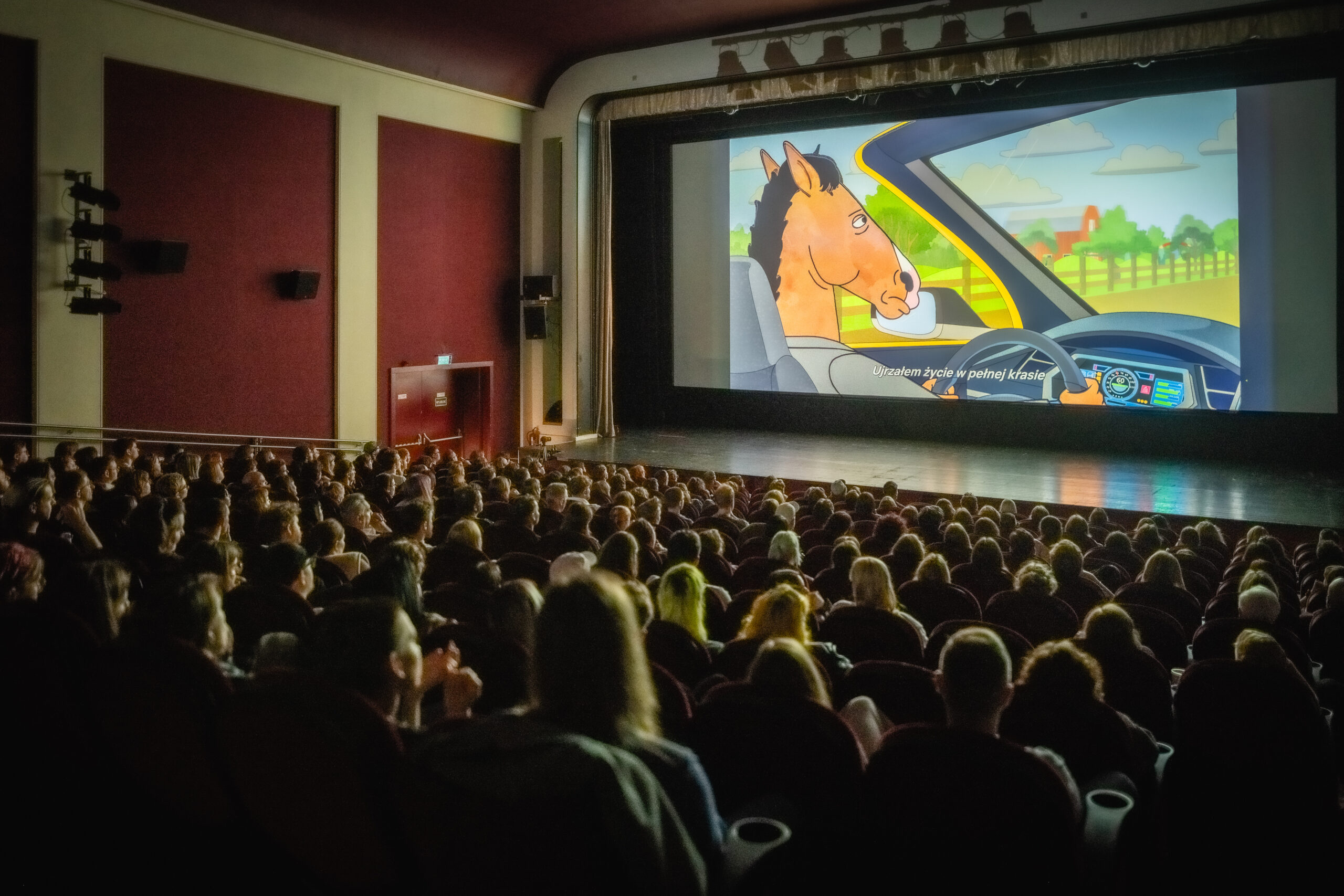 Czy zwycięzca Animatora pójdzie w ślady Maćka Szczerbowskiego? Organizatorzy publikują selekcję