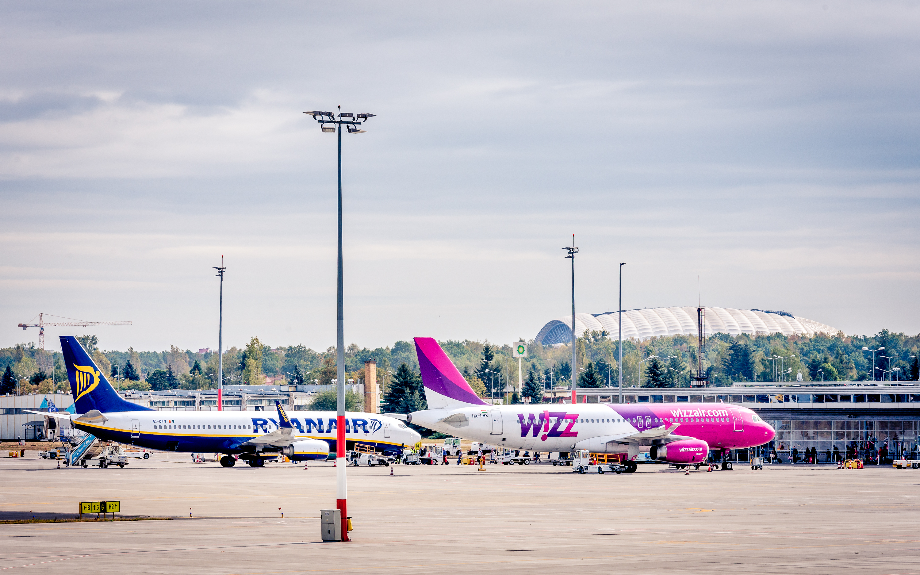 Od wyboru do koloru. Ogromny wybór na Ławicy