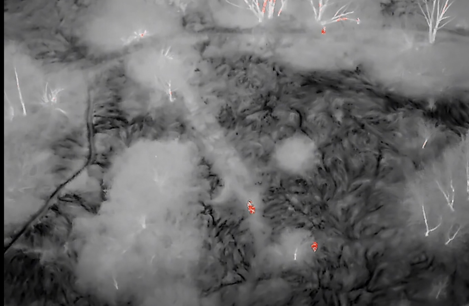 O krok od tragedii! Kobieta utknęła w bagnie