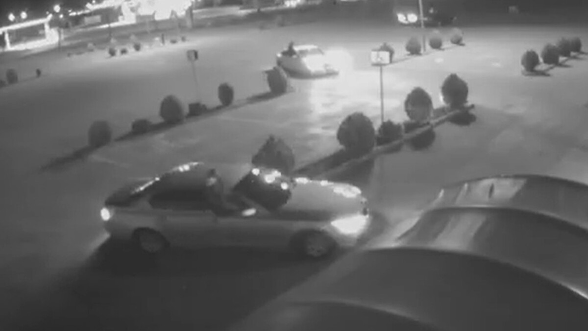 Na parkingu urządzili sobie rodeo na samochodach. Ujeżdżali je jak byki [FILM]