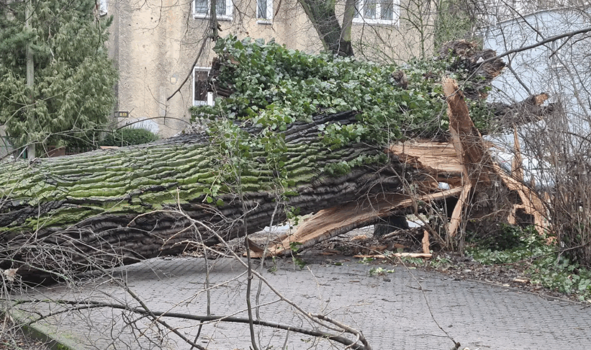 167 interwencji po burzach w Wielkopolsce. Najwięcej zgłoszeń w Poznaniu