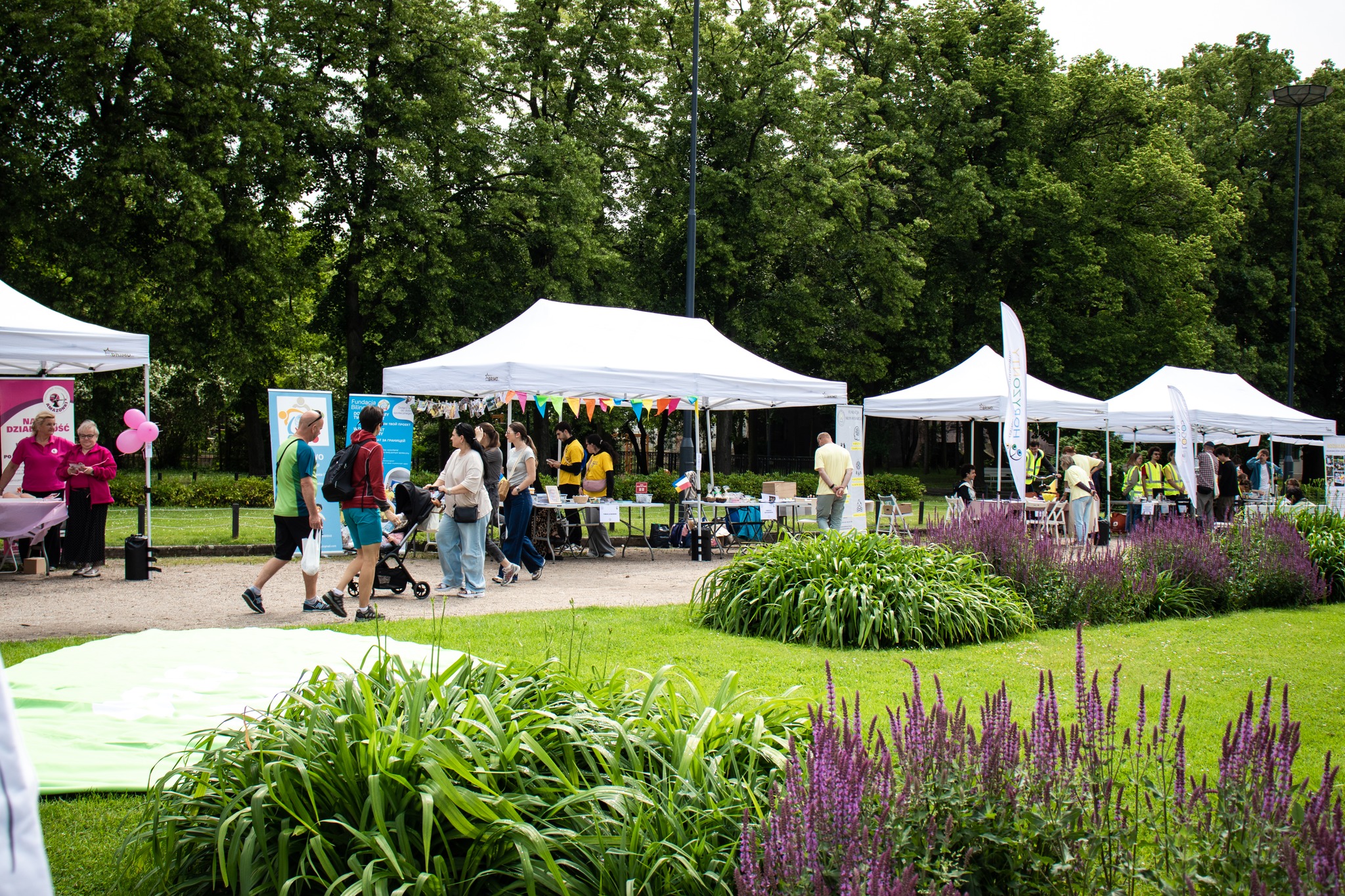 Wolontariat opanuje Park Wilsona. Odbędą się tam niezwykłe targi