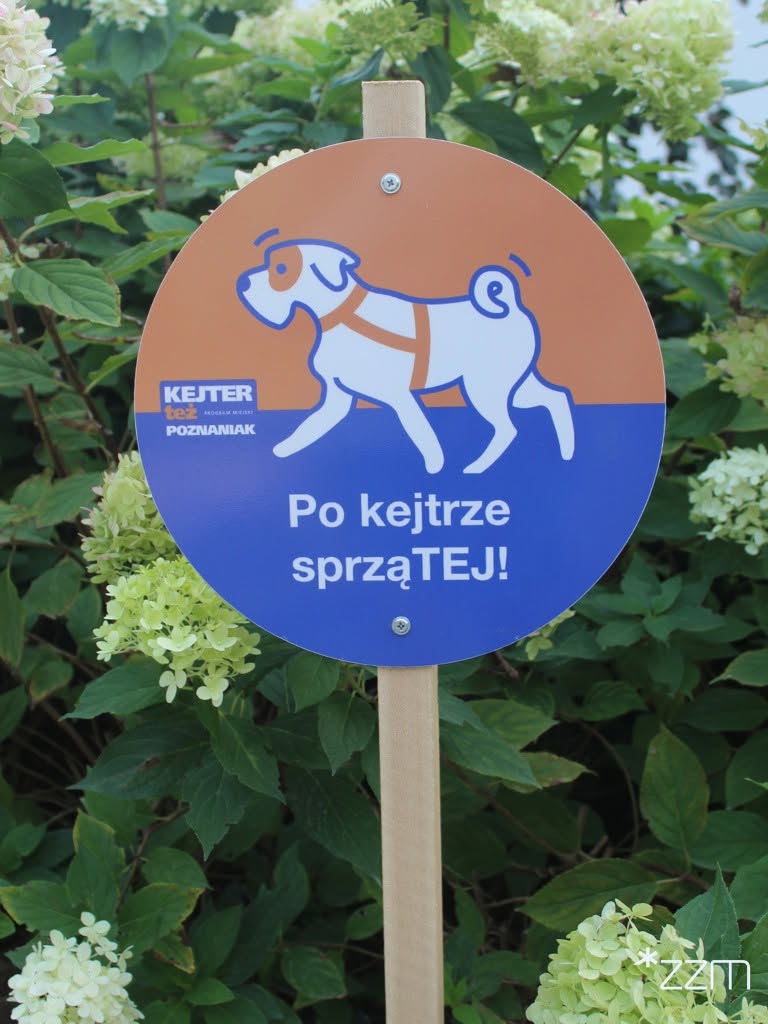 SprząTEJ po kejtrze. Nowe zabawne tabliczki w parkach