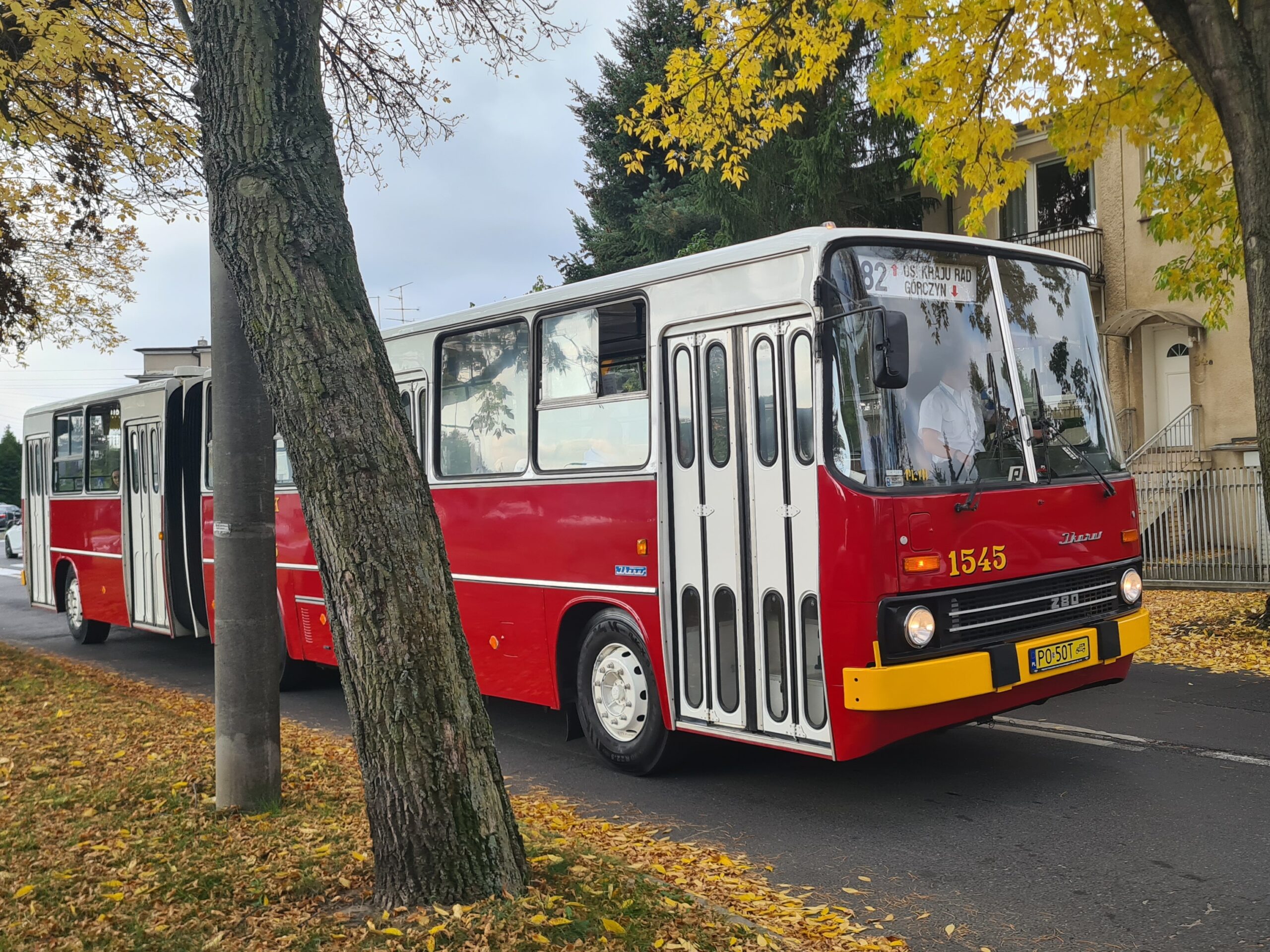 Ikarusy znów na ulicach Poznania. Zobacz, jak wyglądają kultowe autobusy